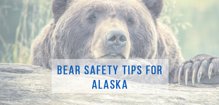 Bear Safety Tips For Alaska | Tips For Bear Safety | Alaska Homes For ...