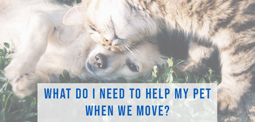 What do I need to help my pet when we move