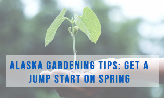 Tips for Gardening in Alaska