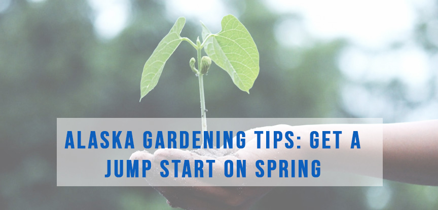 Gardening in Alaska Tips: Get a jump start on spring