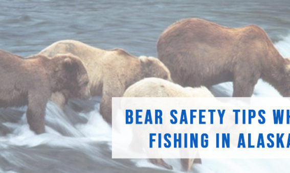 Bear Safety Tips while Fishing in Alaska