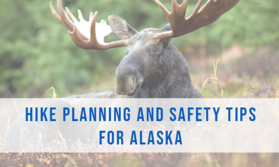 Hiking in Alaska - Safety Tips and Planning Tips