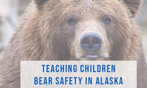 Teaching Bear Safety in Alaska to Children | Alaska Homes for Sale by Brooke Stiltner
