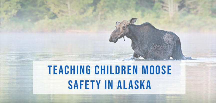 Teaching Children Moose Safety in Alaska