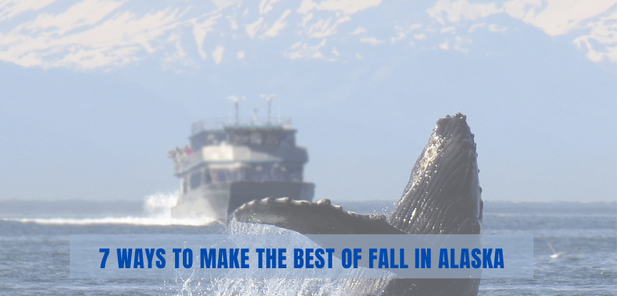 7 Ways to Make the Best of Fall in Alaska